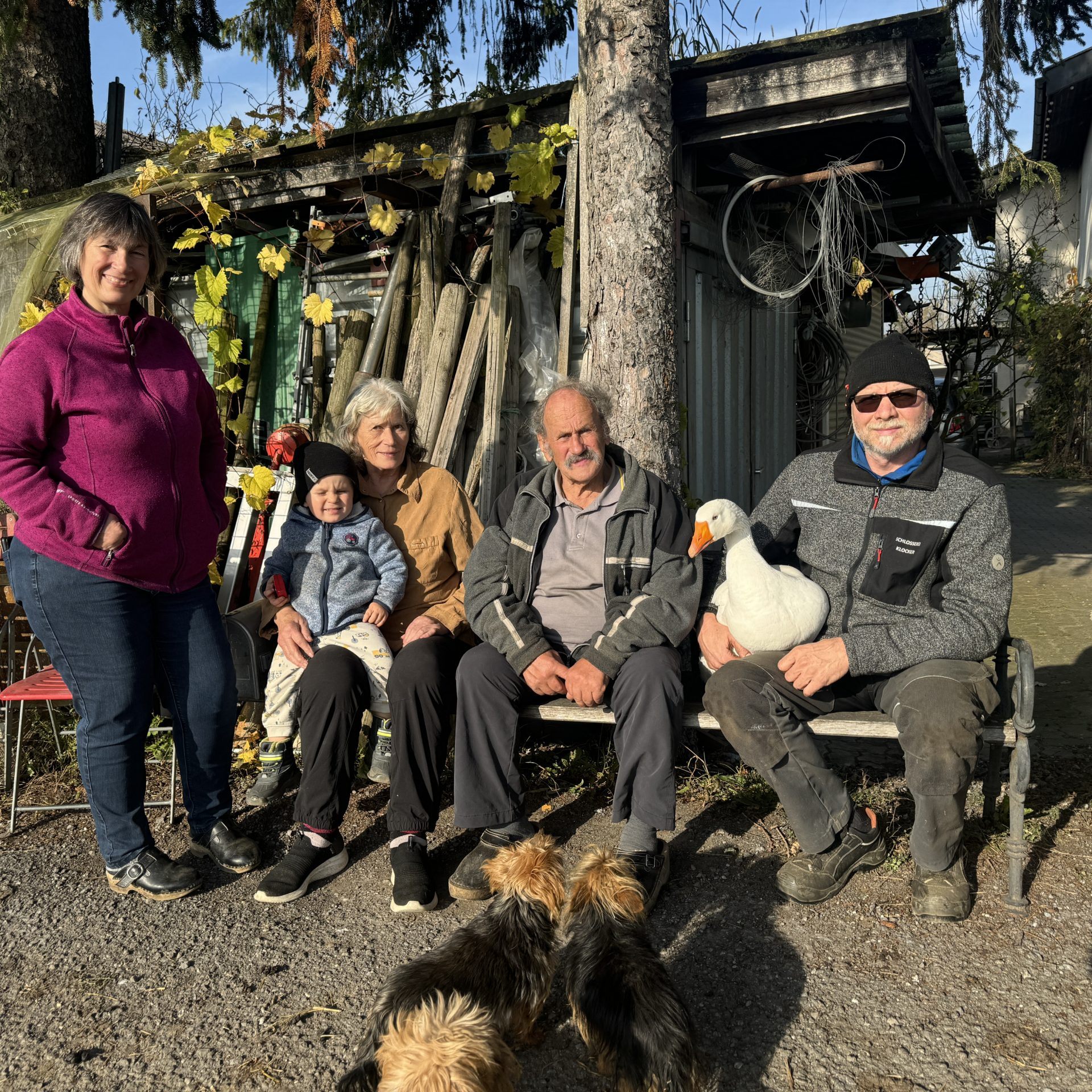 Am Hof in Dornbirn wohnt der Ganter mit vier Generationen.