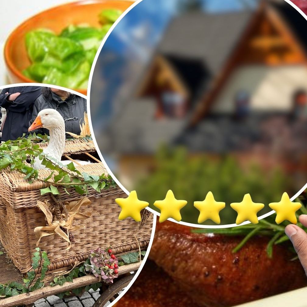 Wo gibt es Vorarlbergs beste Martini-Gans?