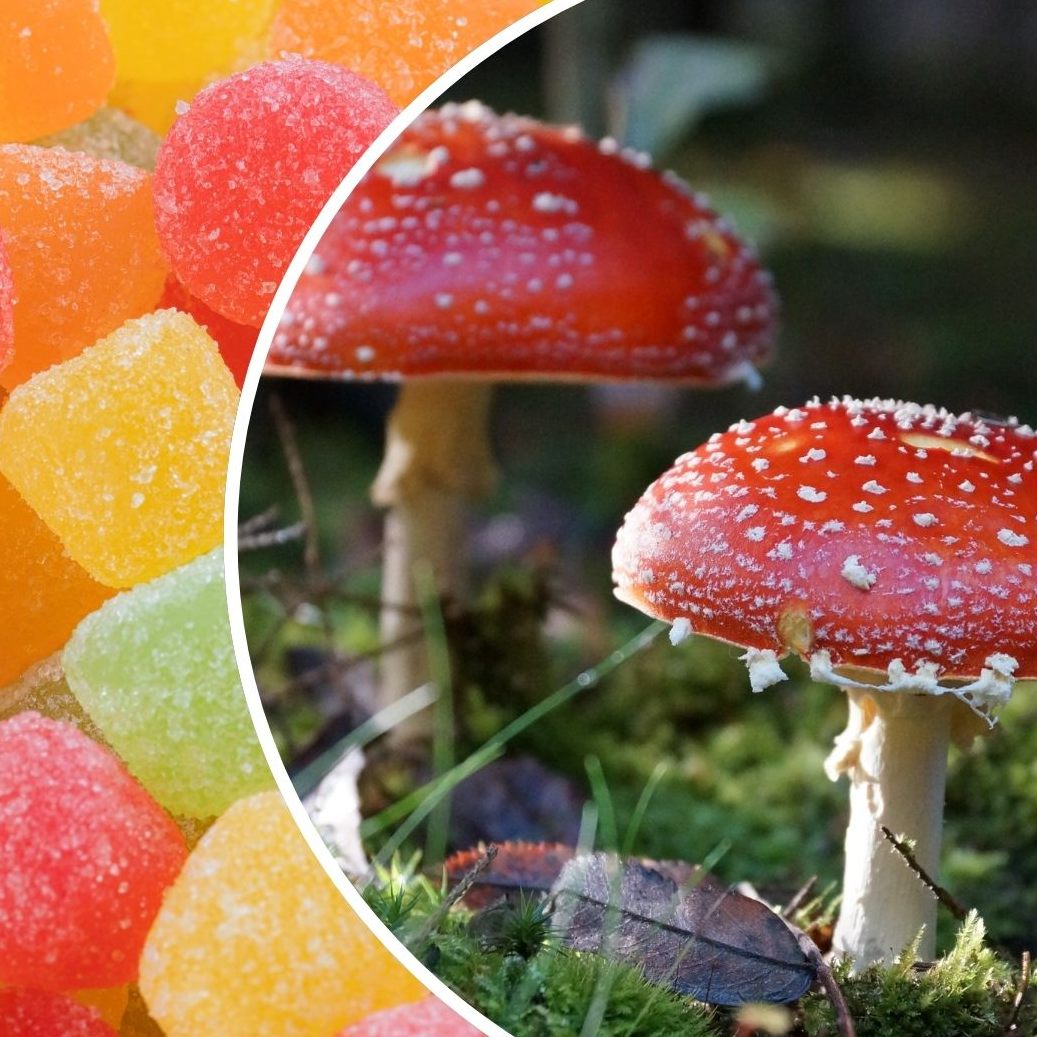 Die AGES warnt vor einem neuen, gefährlichen Trend.