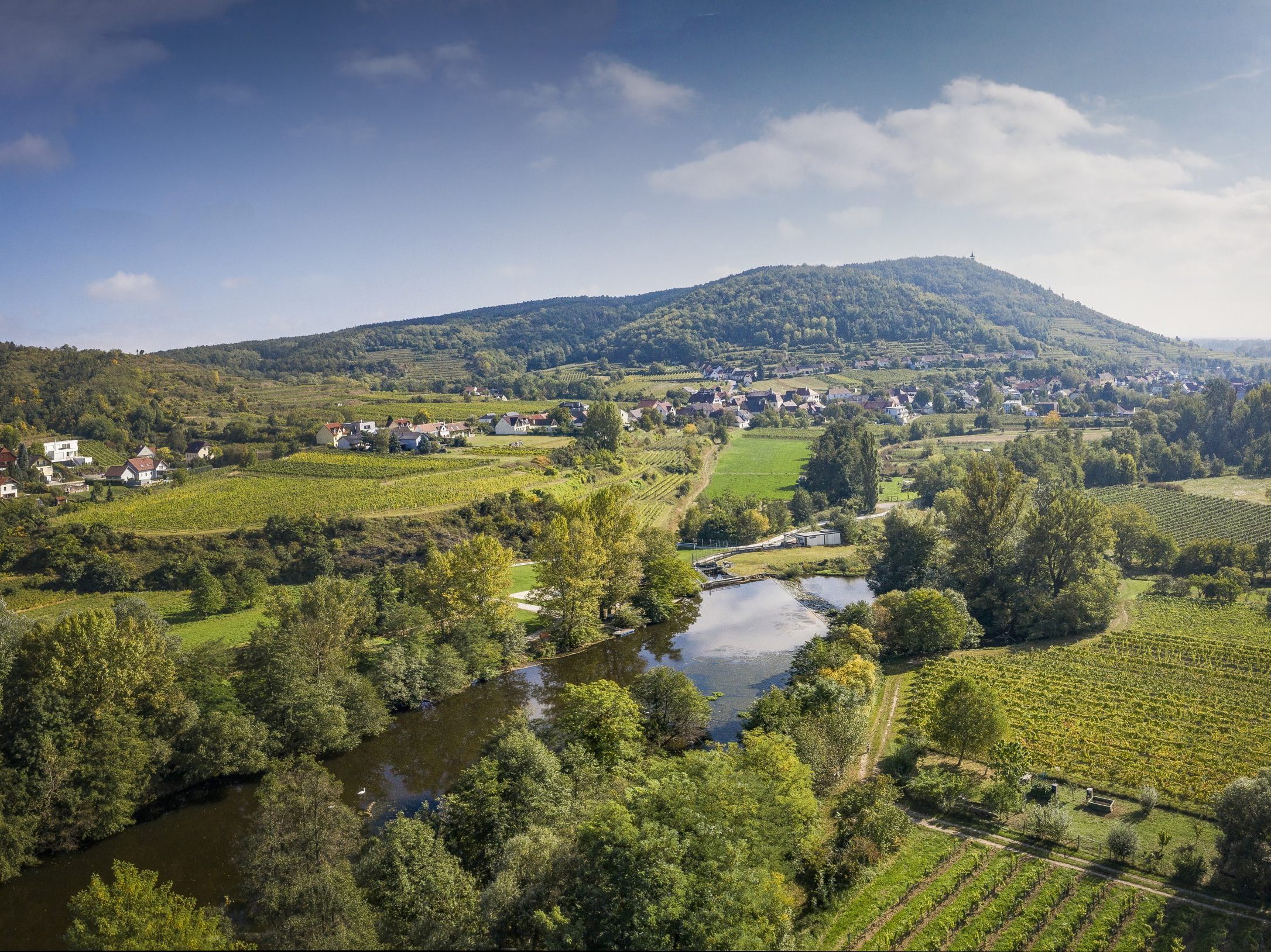 Traumhafte Weinbauregion: das Kamptal. Traumhafte Weinbauregion: das Kamptal.