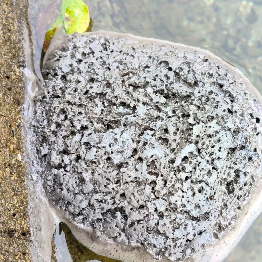 Wasserwirtschaftsamt Kempten/Klos/Gindl/Canva