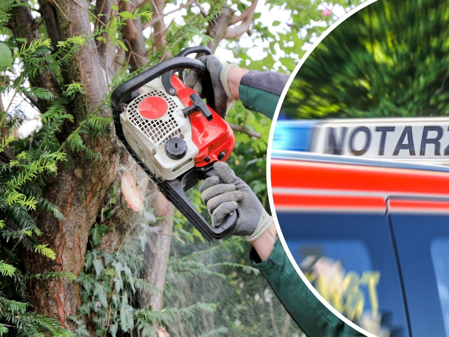 Am Dienstagmittag ereignete sich ein schwerer Arbeitsunfall bei Holzarbeiten. (Symbolbild)