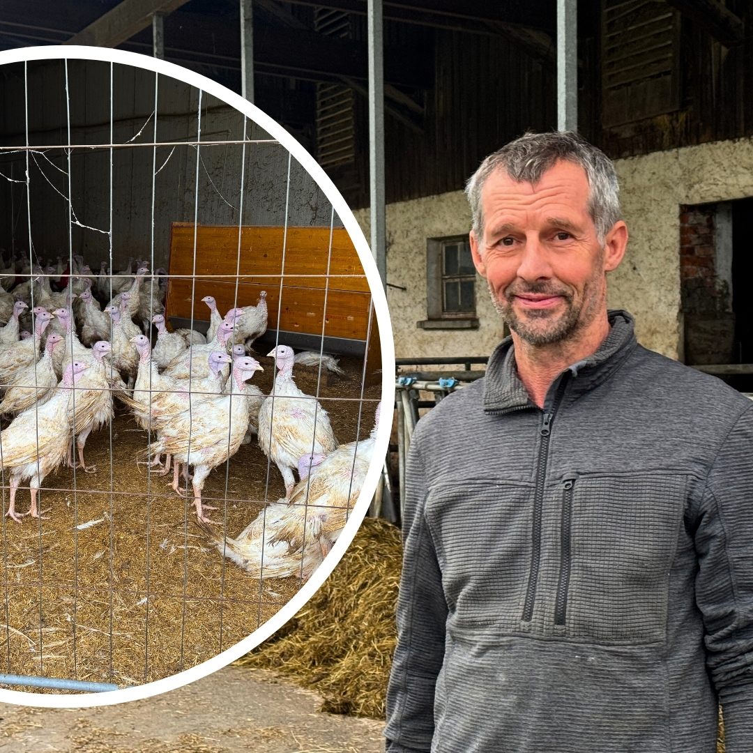 Strobel/VOL.AT/Canva