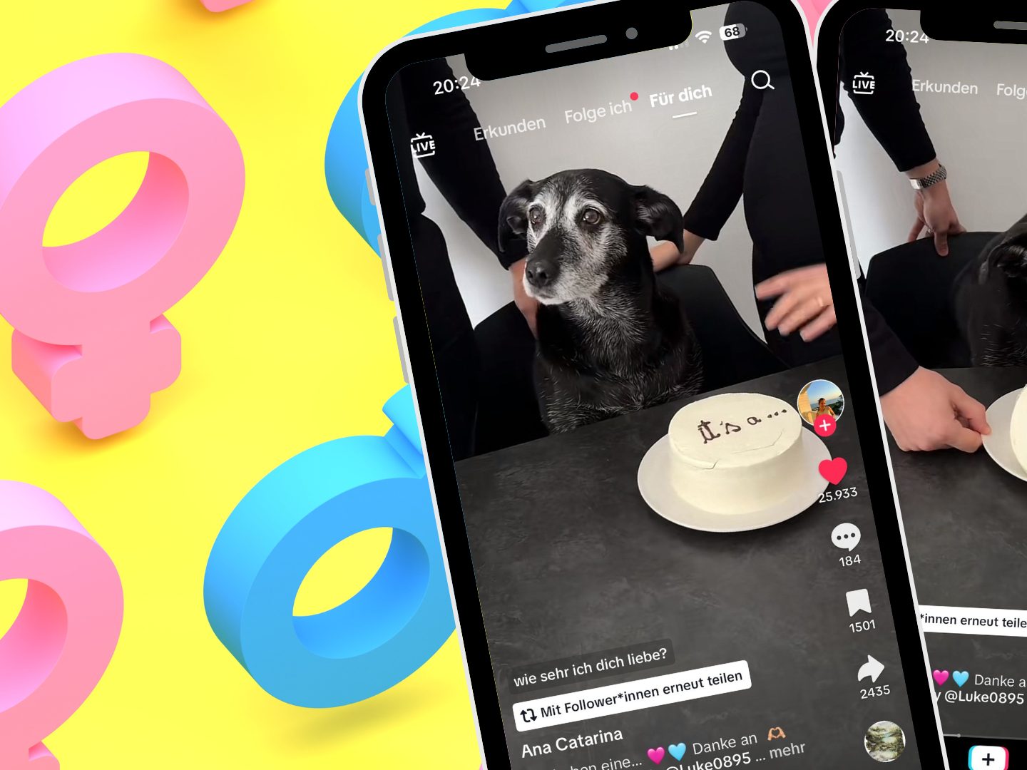 Ein Hund steht im Mittelpunkt eines kreativen Gender Reveals, indem er einen speziell gestalteten Kuchen frisst, der das Geschlecht des Babys preisgibt. Ein Hund steht im Mittelpunkt eines kreativen Gender Reveals, indem er einen speziell gestalteten Kuchen frisst, der das Geschlecht des Babys preisgibt.