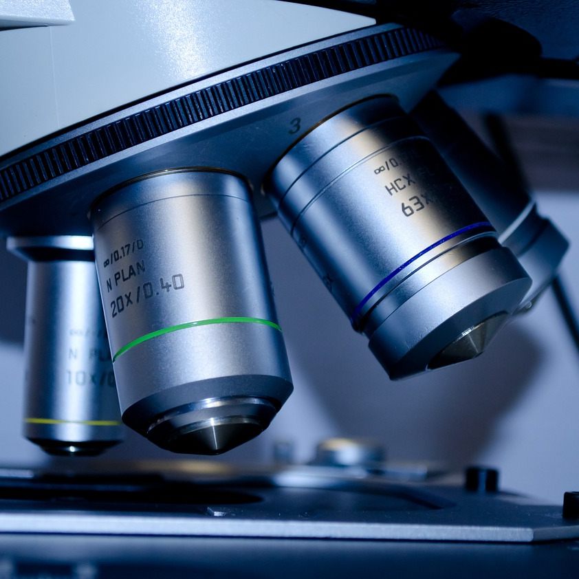 Der Sanierungsplan für die Biotech-Firma Marinomed wurde angenommen.