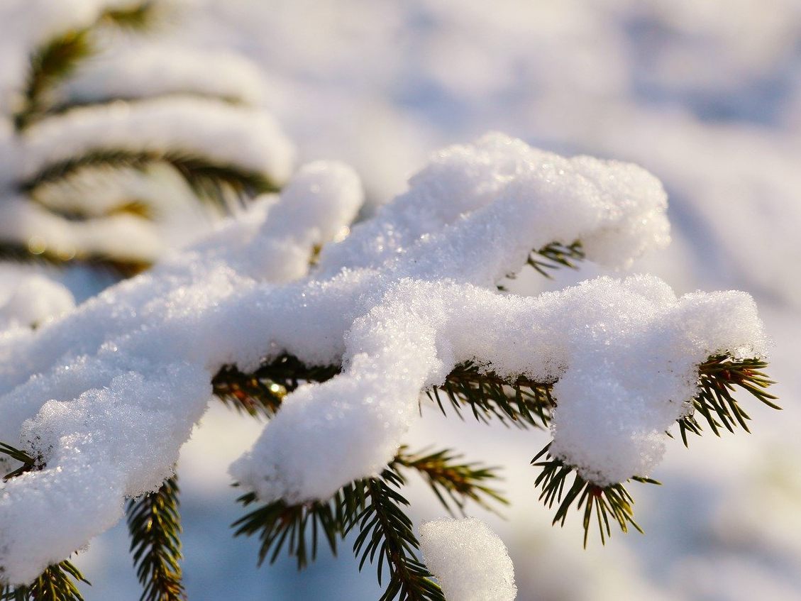 Die Schneefallgrenze sinkt in der kommenden Woche. Die Schneefallgrenze sinkt in der kommenden Woche.