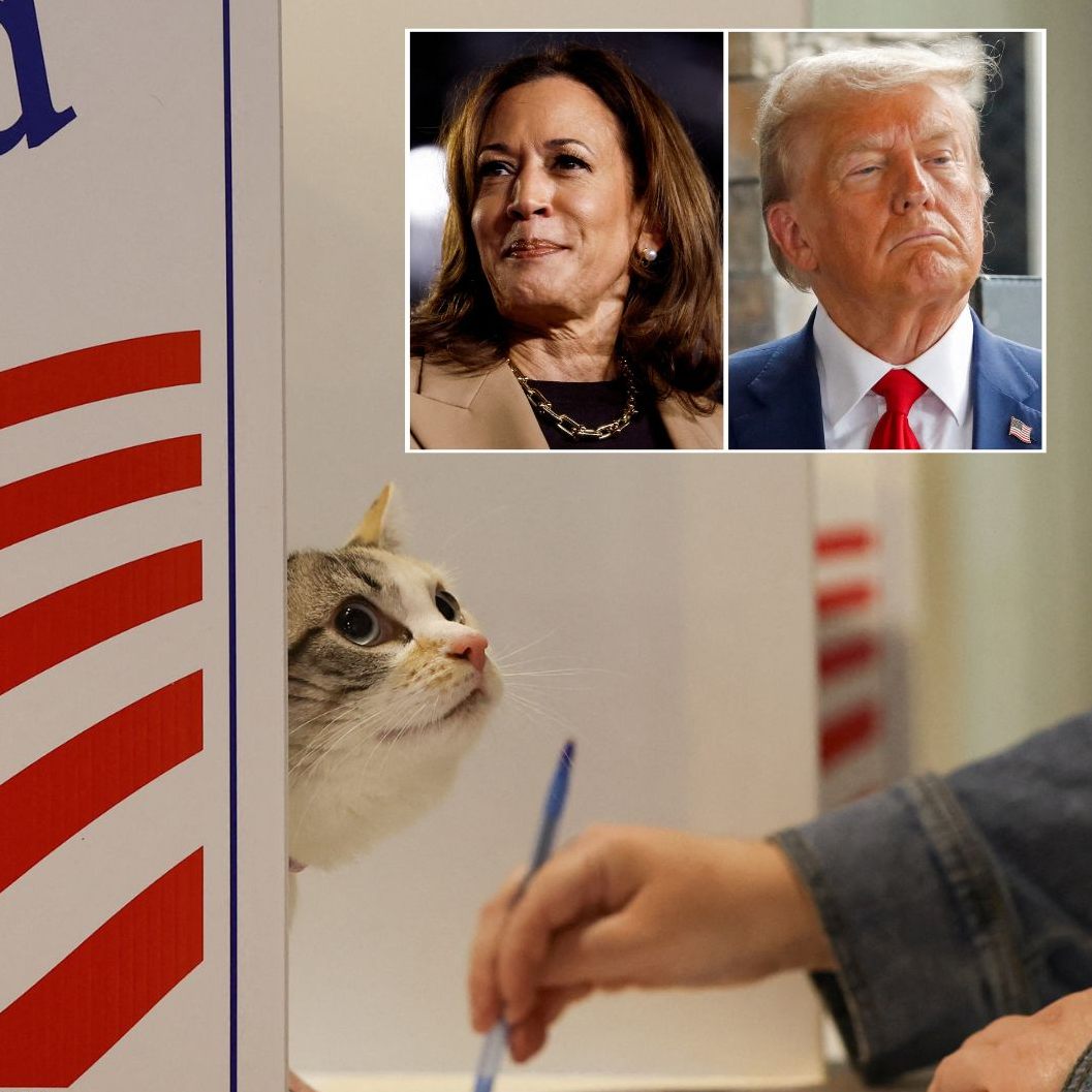 Warum eine Entscheidung in der Wahlnacht unwahrscheinlich ist.