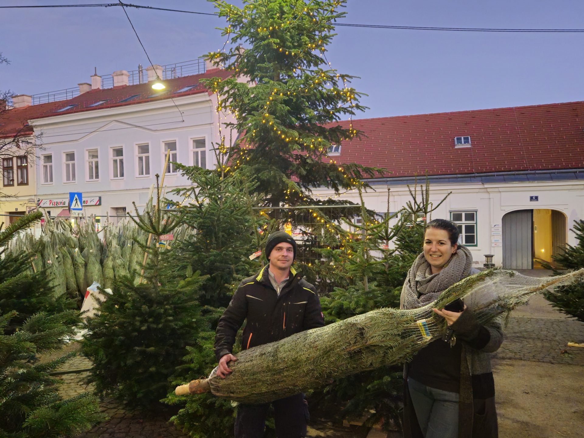 An 248 Wiener Marktplätzen werden Christbäume angeboten. An 248 Wiener Marktplätzen werden Christbäume angeboten.