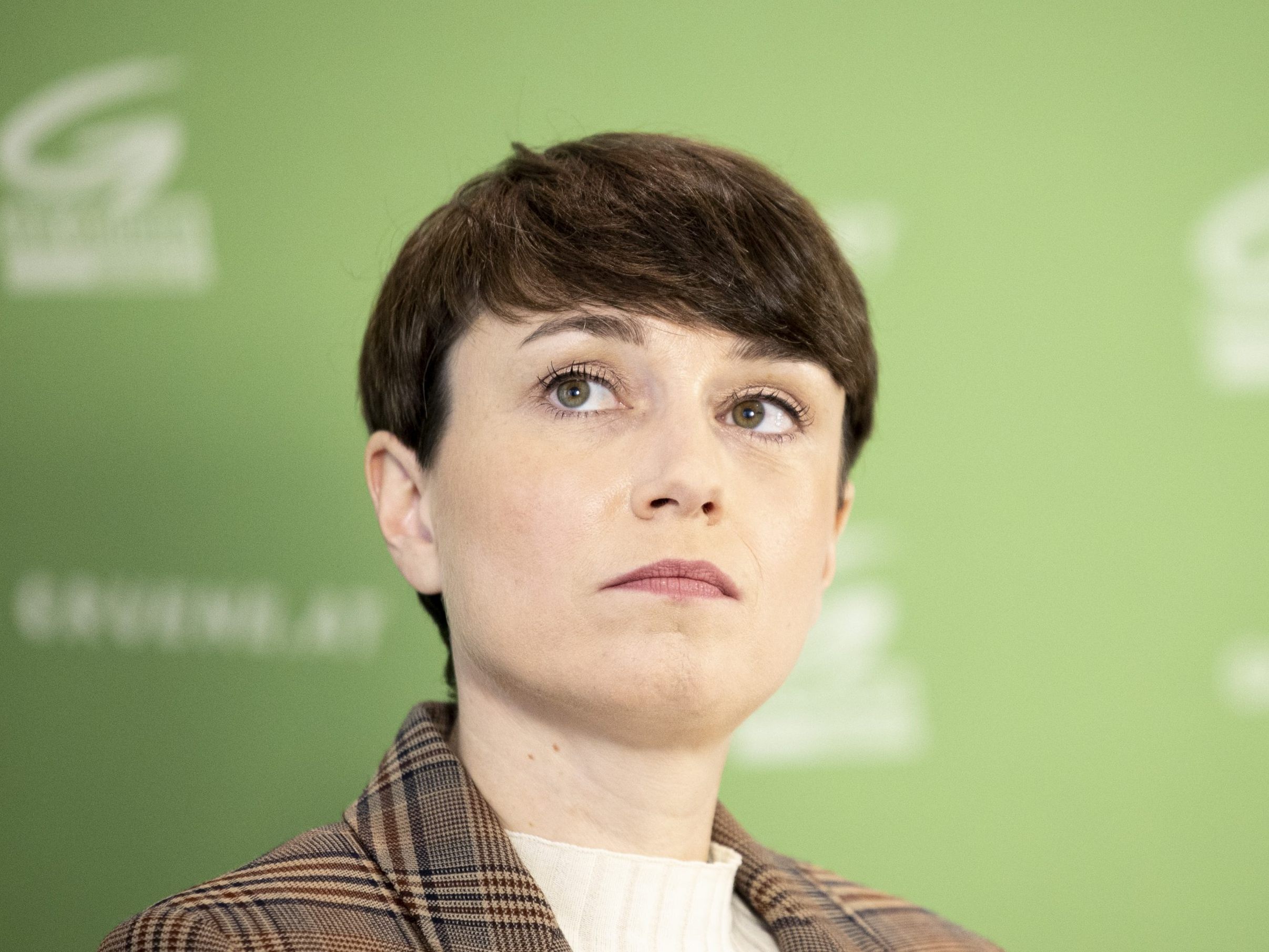 Die Grünne verloren den Fraktionsstatus im Bundesrat.
