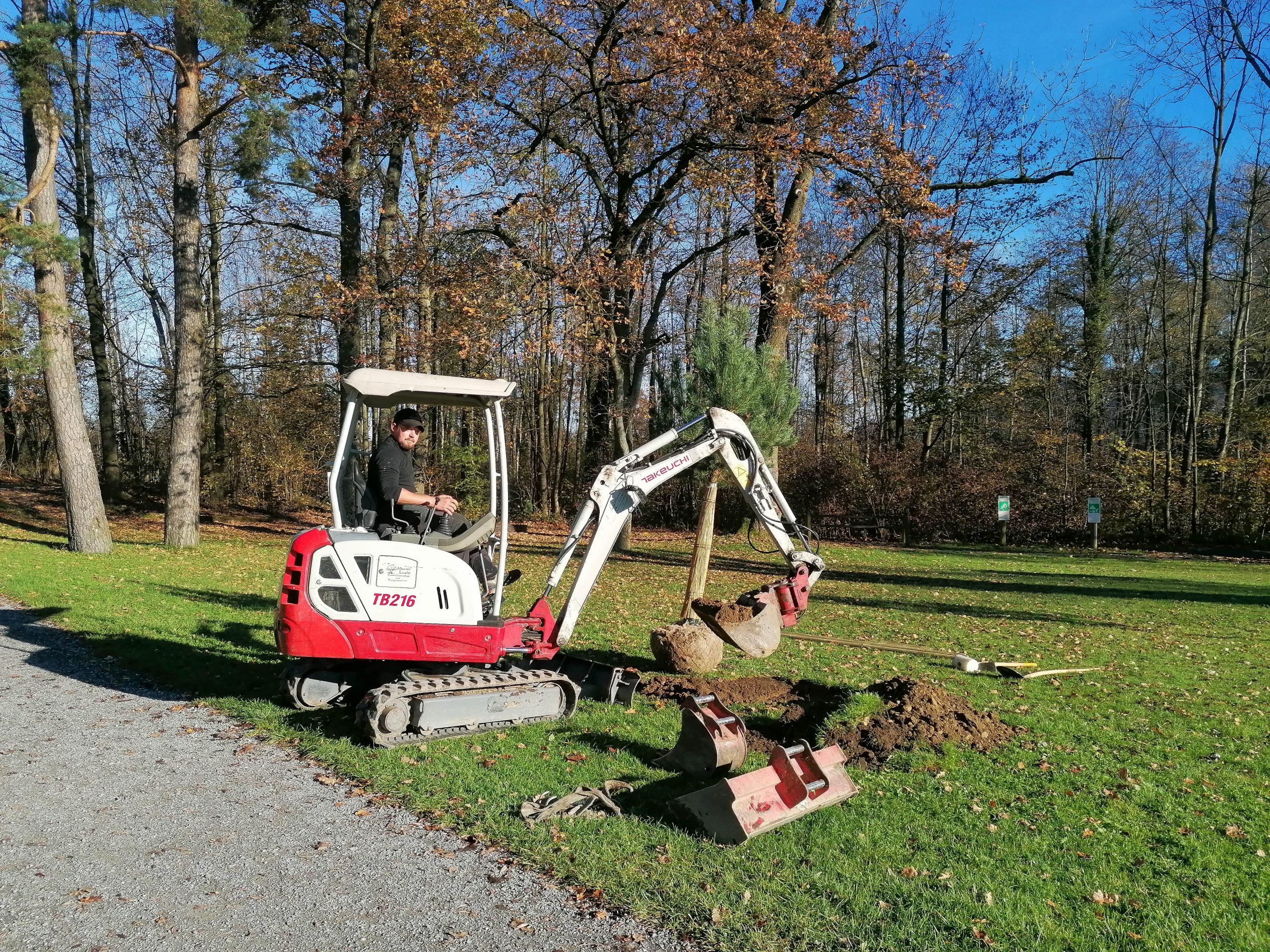 Baumpflanzaktion im Herbst am Lochauer Bodenseeufer