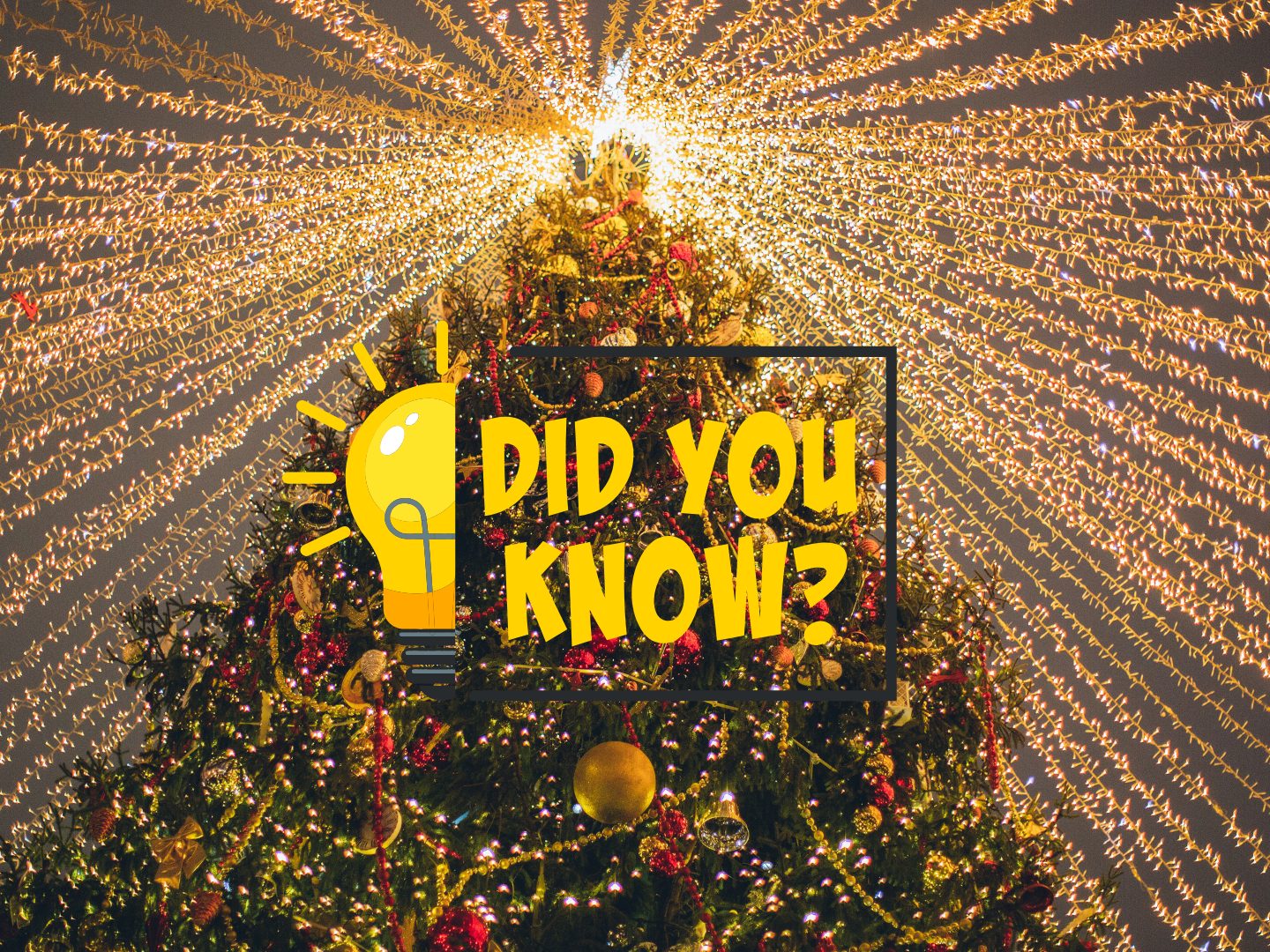 Weihnachten steckt voller kurioser Fakten: von Rentieren ohne Geweih über Santa im Weltall bis hin zu 20 Millionen Paketen – ein Fest der Überraschungen!