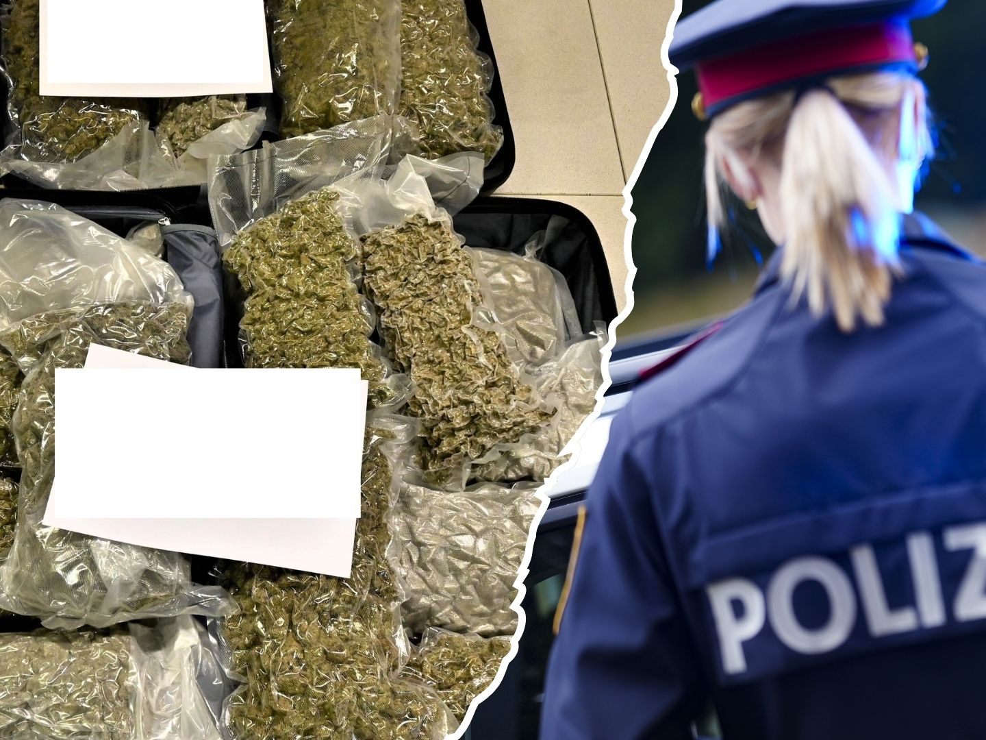 In zwei Koffern wurde Cannabis von Amsterdam nach Wien geschmuggelt.