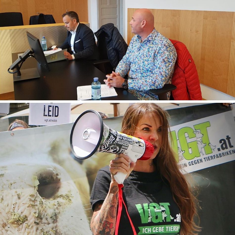 Wie reagiert der VGT auf das Urteil im Prozess rund um Winzer Möth?