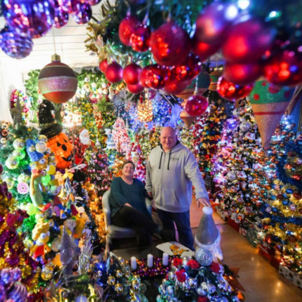 Ob auf der Toilette oder im Wohnzimmer: Rund 600 Plastik-Weihnachtsbäume stehen in ihrem festlich dekorierten Haus der Familie.