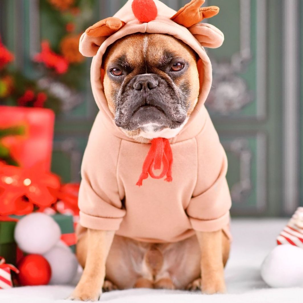 Die besten Filme für die Anti-Weihnachtsstimmung.