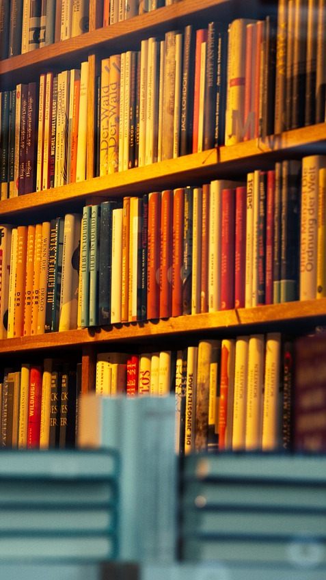 Eine deutsche Händlerin darf Bücher in Österreich mit Rabatten anbieten.