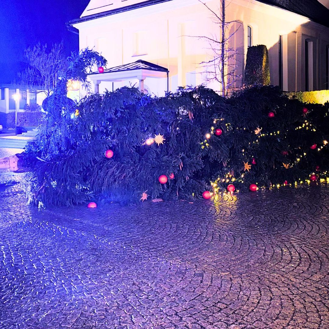 Weihnachtsbaum umgestürzt
