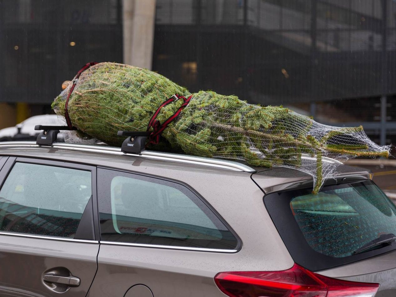 Tipps für den sicheren Transport der Weihnachtsbäume. Tipps für den sicheren Transport der Weihnachtsbäume.