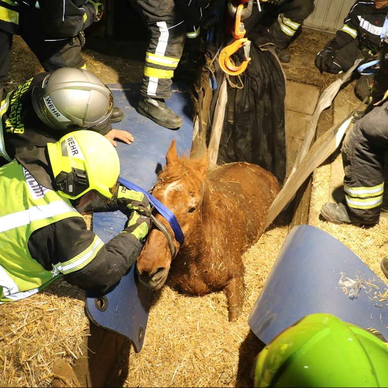 Einsatz der FF Laxenburg.