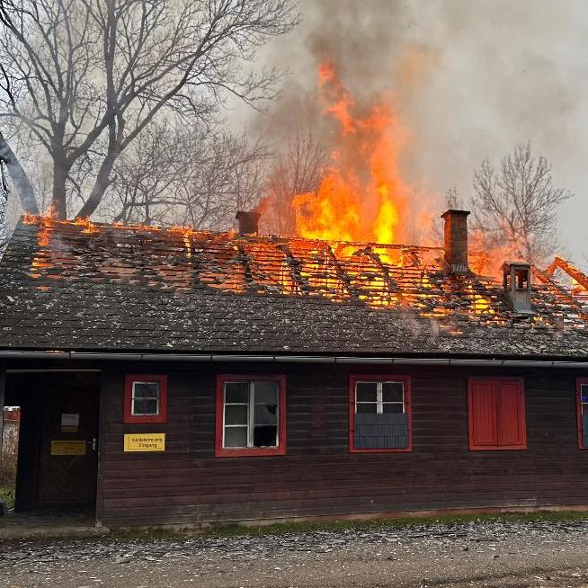 Für die Tiere kam jede Hilfe zu spät.
