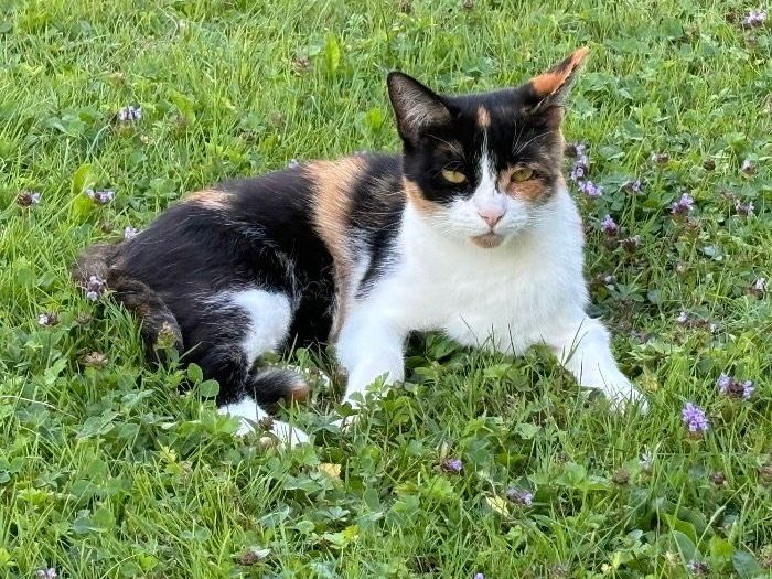 Zoe