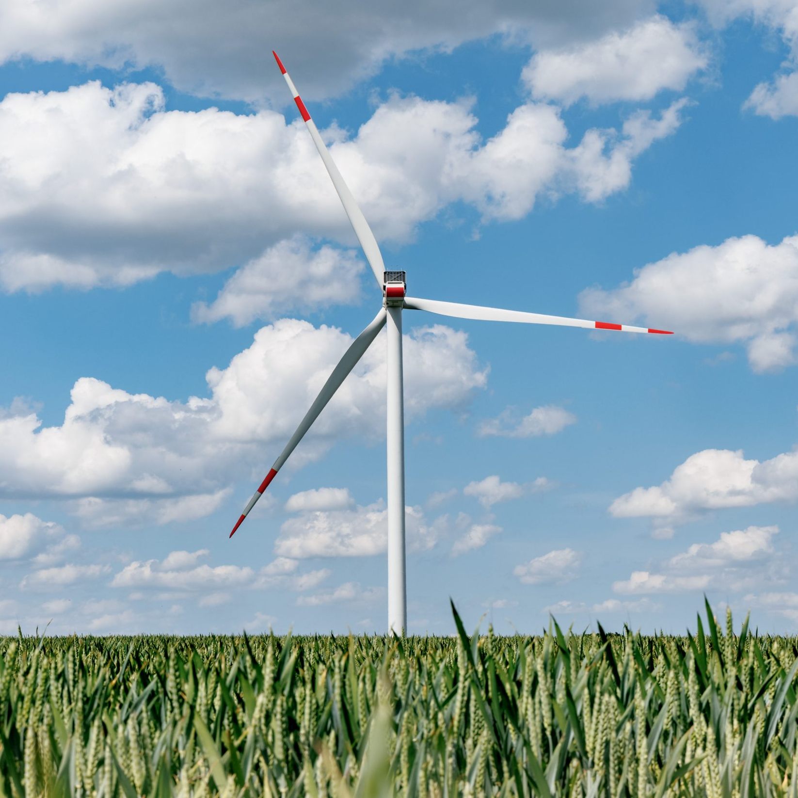 An der Energiewende führt kein Weg vorbei.