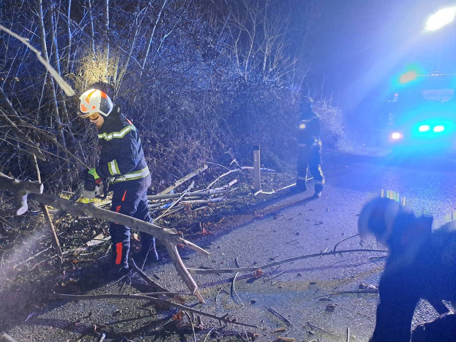 Wiener Feuerwehr hatte es mit Sturmschäden zu tun.