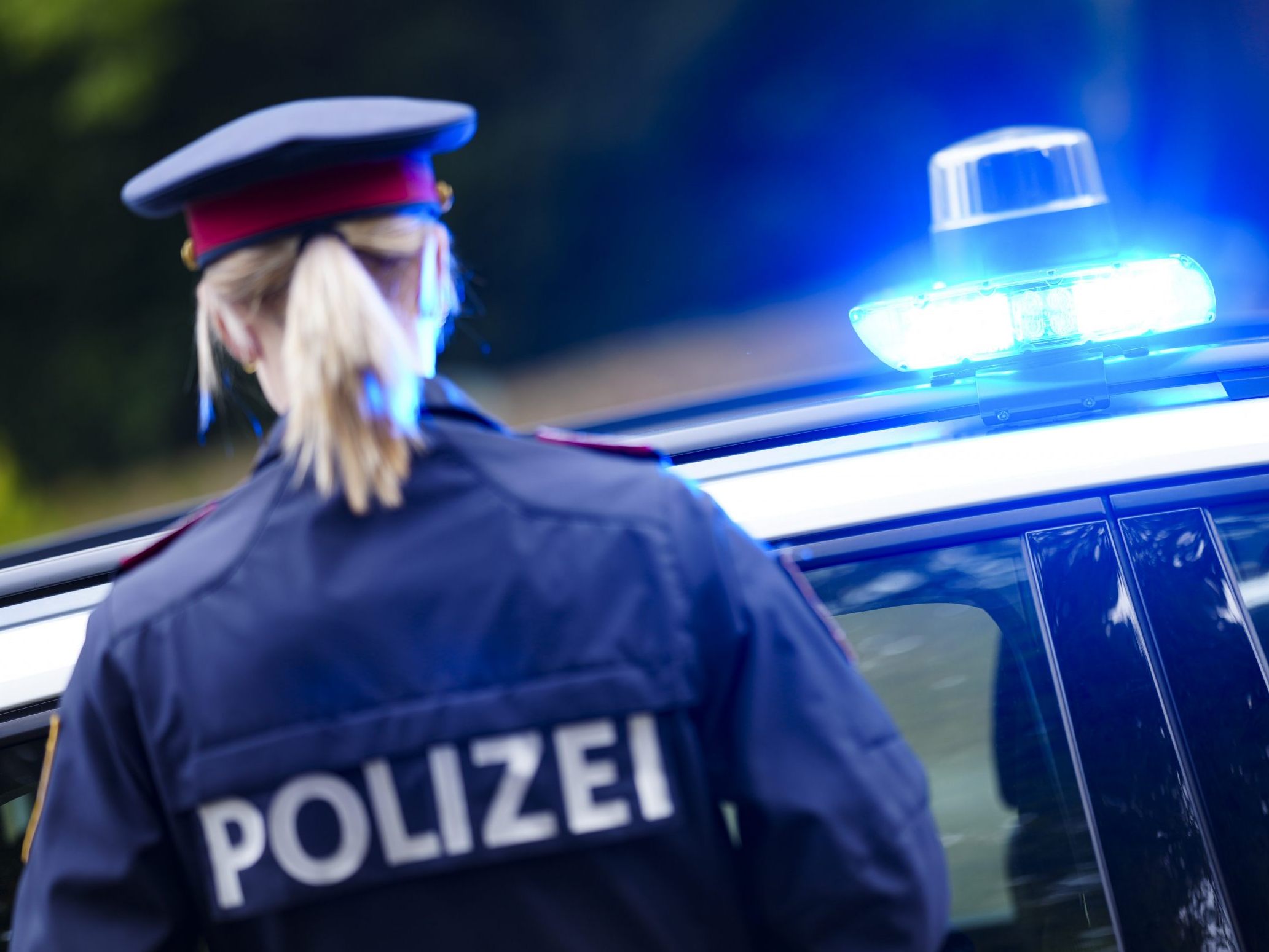 Die Wiener Polizei konnte den Hotel-Mitarbeiter festnehmen.