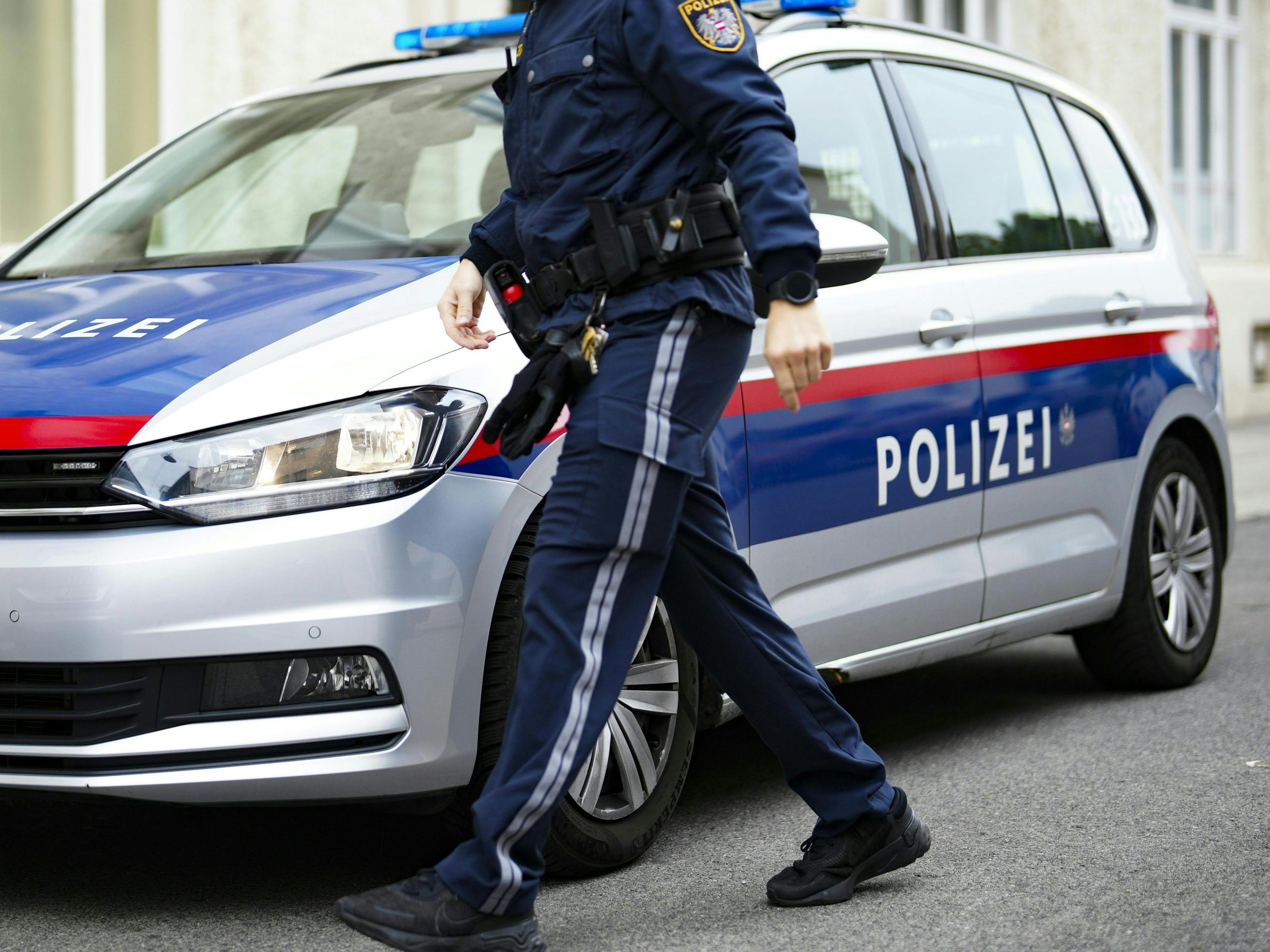 Die Polizei hatte in der Wiener Innenstadt zu tun.