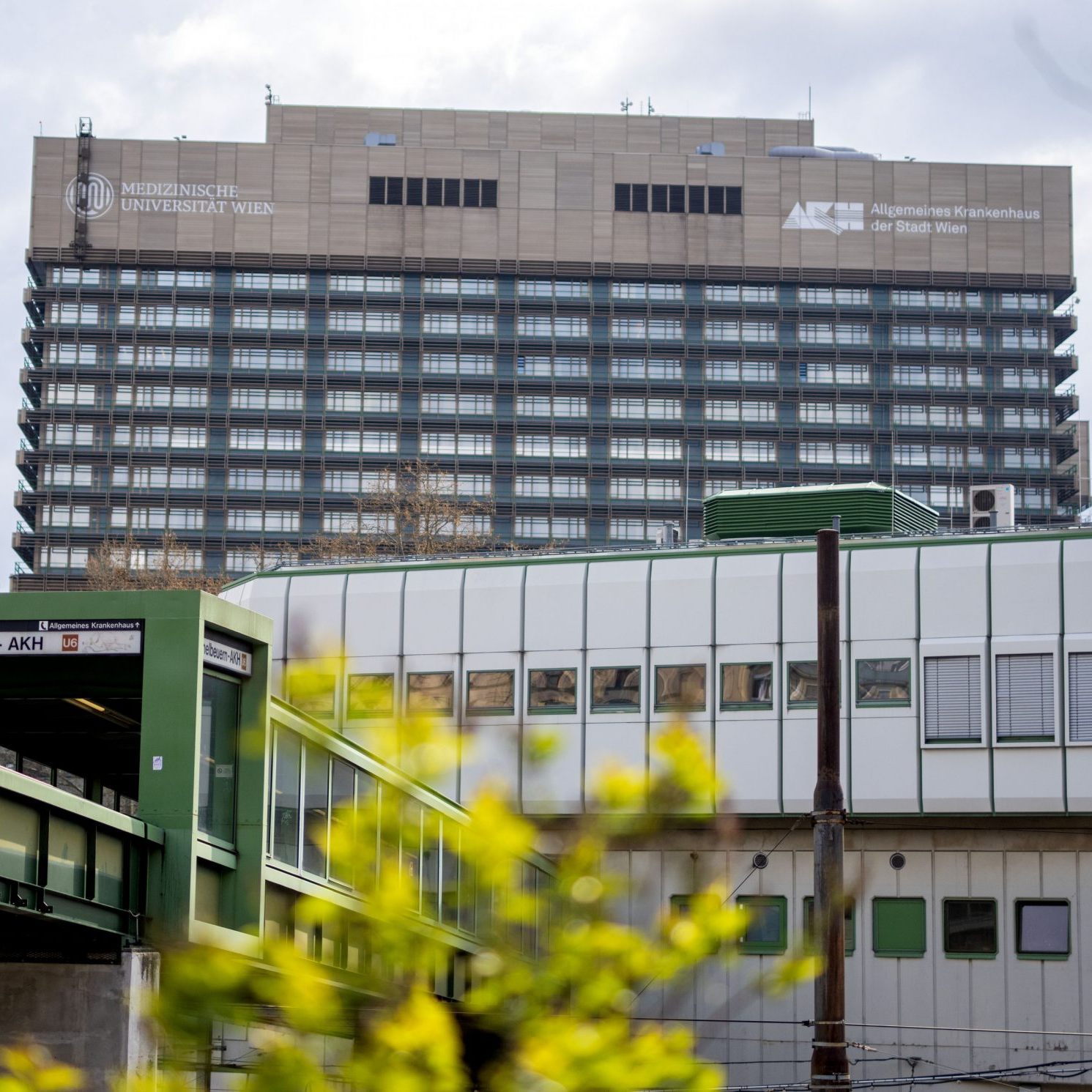 Niederösterreichs Patientenanwalt kritisiert Wiens Vorgehensweise hinsichtlich der Gastpatienten.