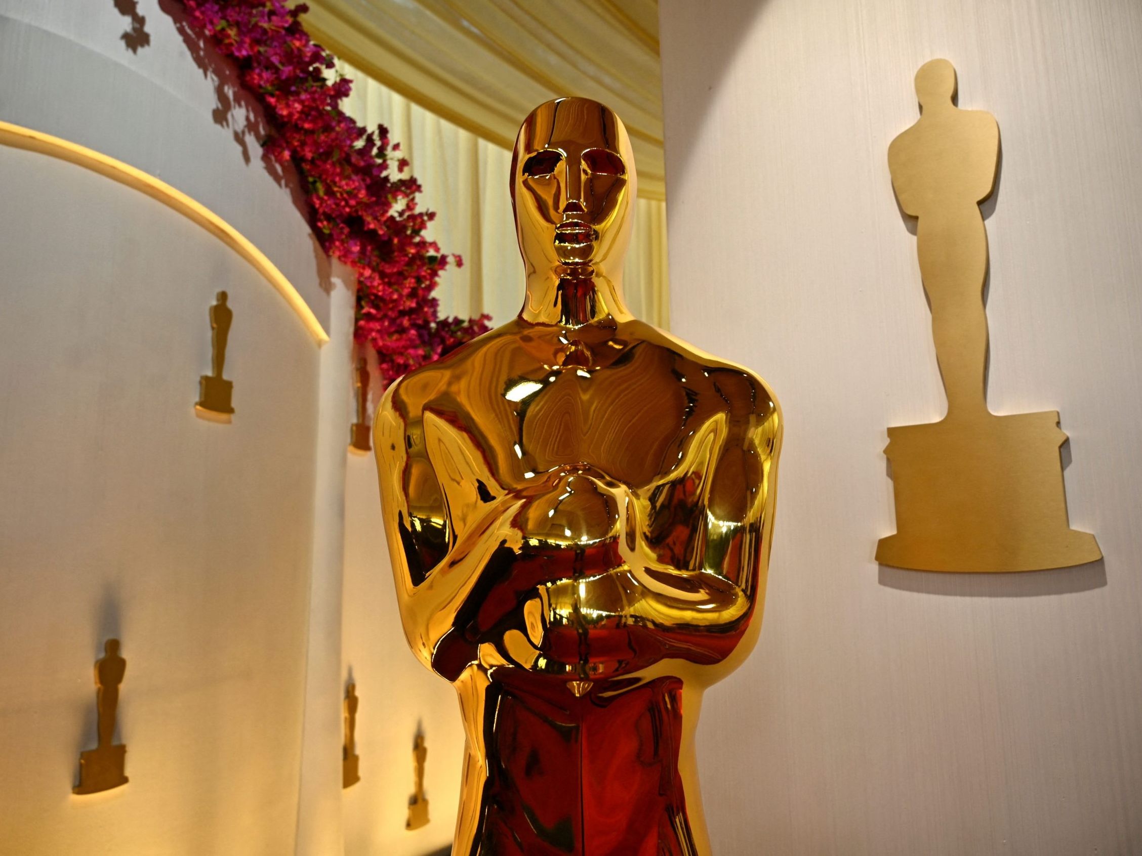 Am Donnerstag wurden die Oscar-Nominierungen bekanntgegeben.
