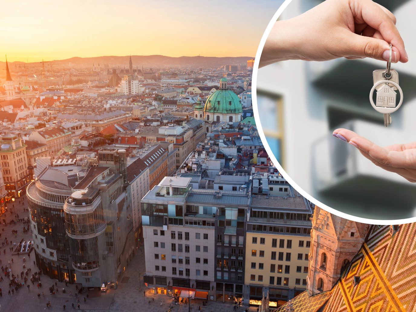 Mit 44 Anzeigen wurden die meisten externen Anzeigen im zweiten Bezirk vermerkt. Mit 44 Anzeigen wurden die meisten externen Anzeigen im zweiten Bezirk vermerkt.