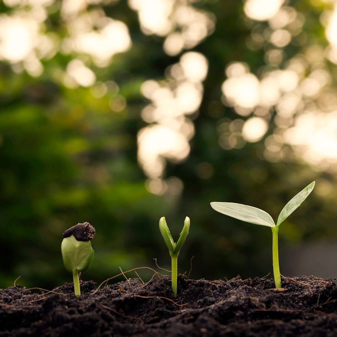 Niederösterreich hat als erstes Bundesland eine nachhaltige Anleihe ausgegeben.