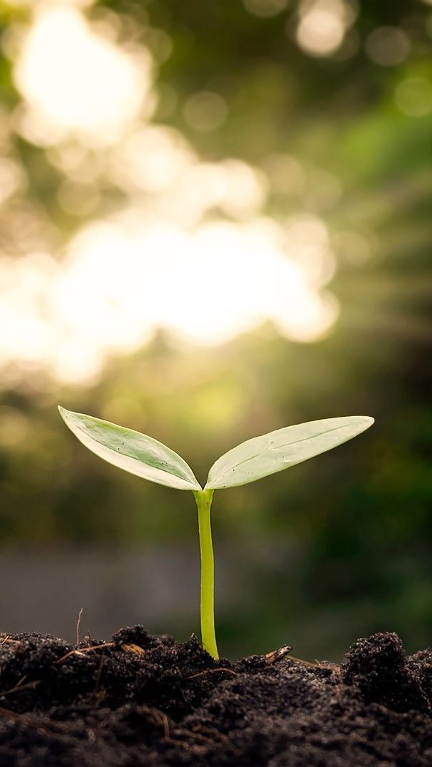 Niederösterreich hat als erstes Bundesland eine nachhaltige Anleihe ausgegeben.