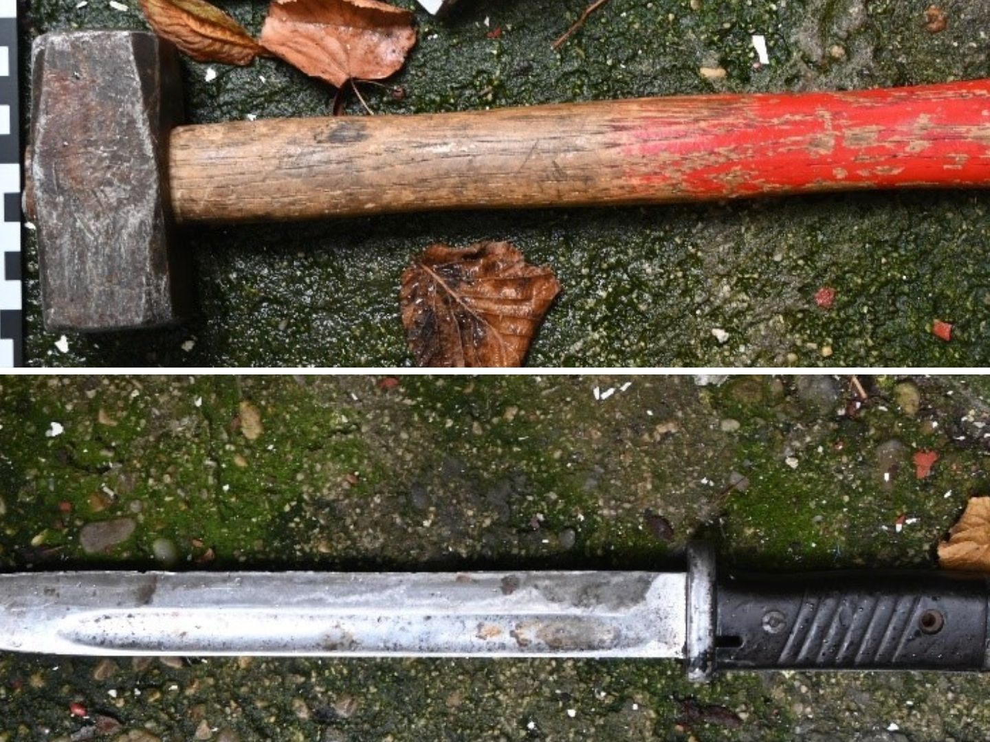 Ein Hammer und ein Messer konnten von der Polizei sichergestellt werden. Ein Hammer und ein Messer konnten von der Polizei sichergestellt werden.