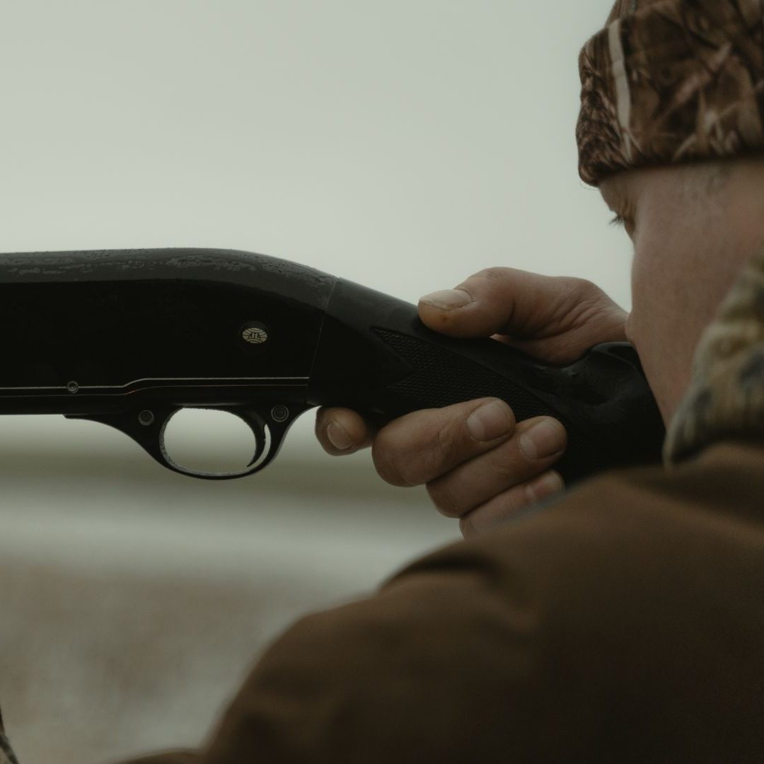 Unbekannte haben einen Hund beim Spazierengehen angeschossen.