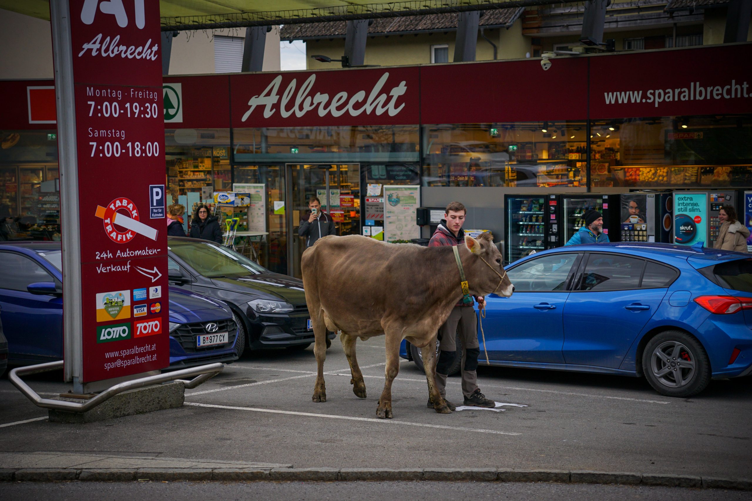 Ein durchschnittlicher Autoparkplatz misst 12,5 Quadratmeter – die gesetzlich vorgeschriebene Mindestgröße für den Stallplatz einer Milchkuh jedoch gerade mal die Hälfte.