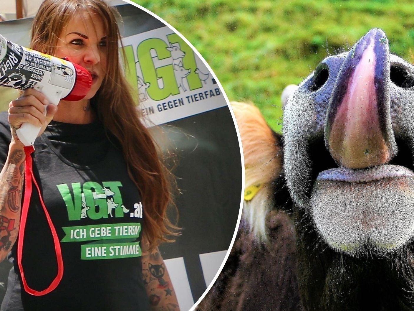 Wie reagiert Tierschützerin Sandy P. Peng auf das Urteil? Wie reagiert Tierschützerin Sandy P. Peng auf das Urteil?