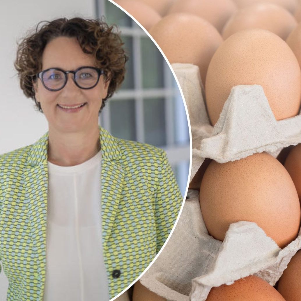 Die derzeitigen Engpässe bei Eiern seien jeweils nur kurzfristig, erklärt Spar-Unternehmenssprecherin Nicole Berkmann.