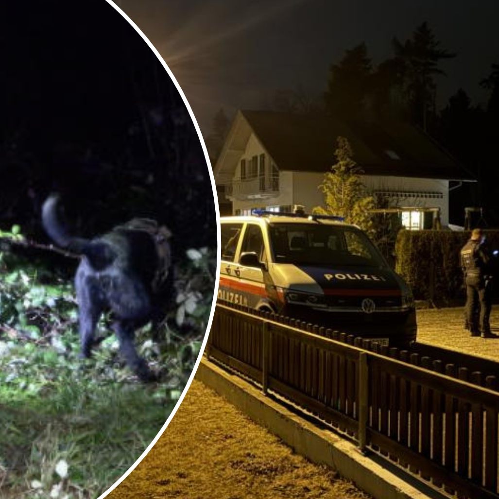 In Bregenz wurden zwei mutmaßliche Einbrecher geschnappt.