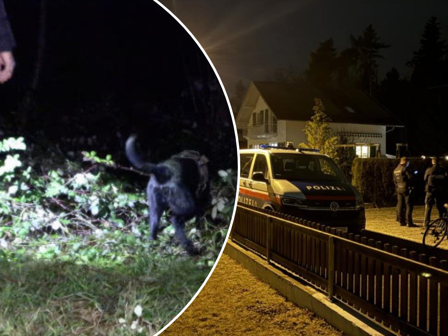 In Bregenz wurden zwei mutmaßliche Einbrecher geschnappt.