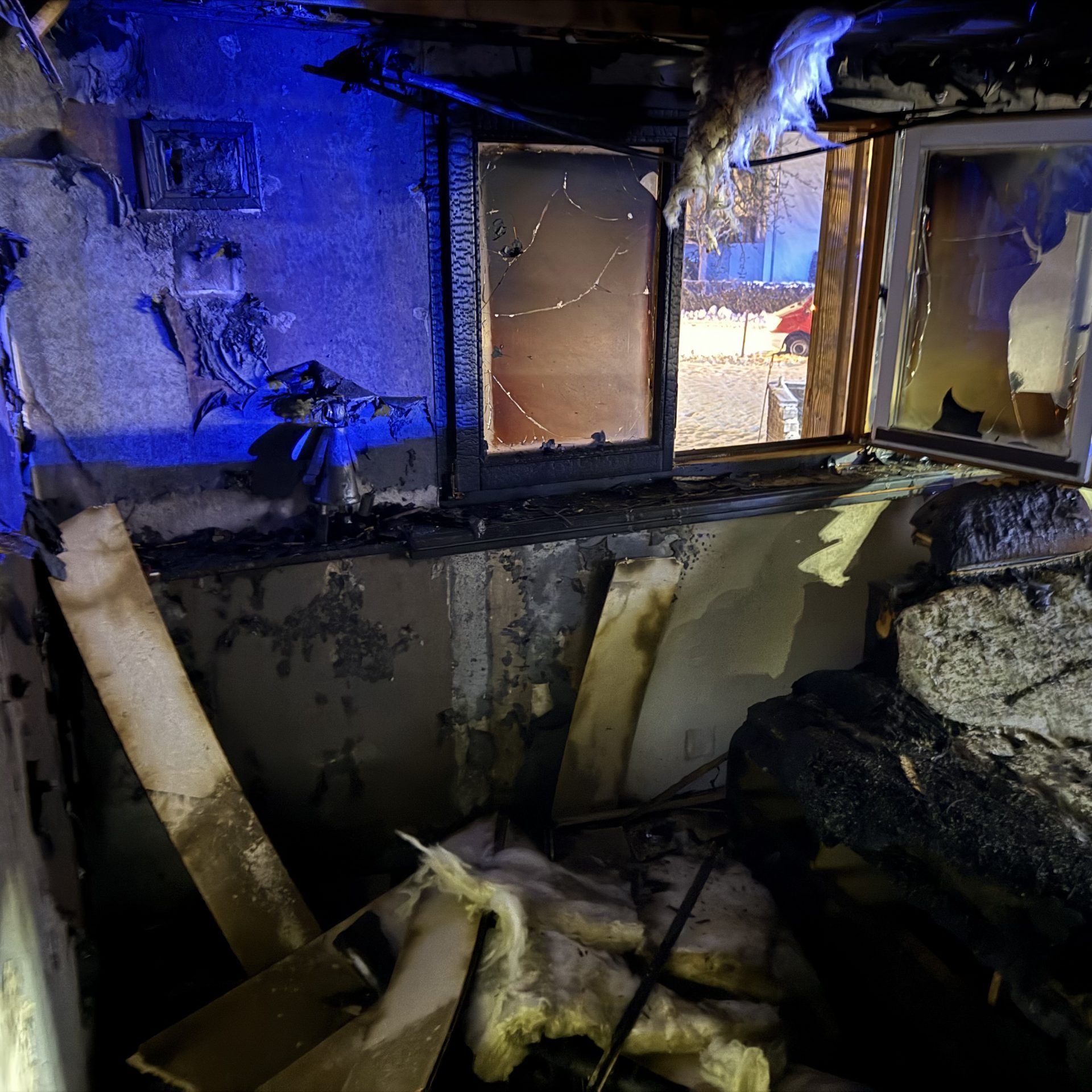 Zwei Hunde überlebten den Brand nicht