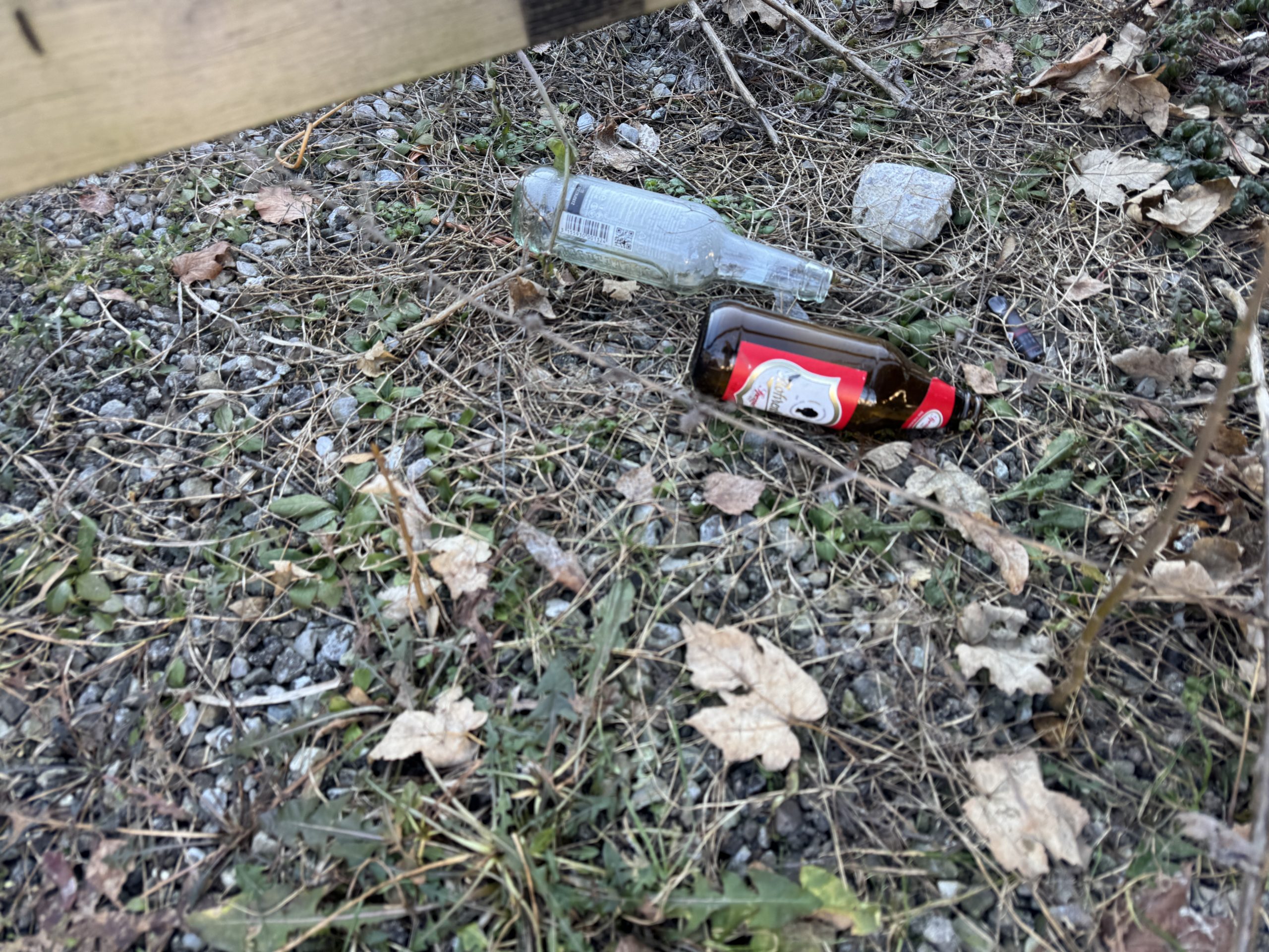 Müll Dornbirn Müll Dornbirn