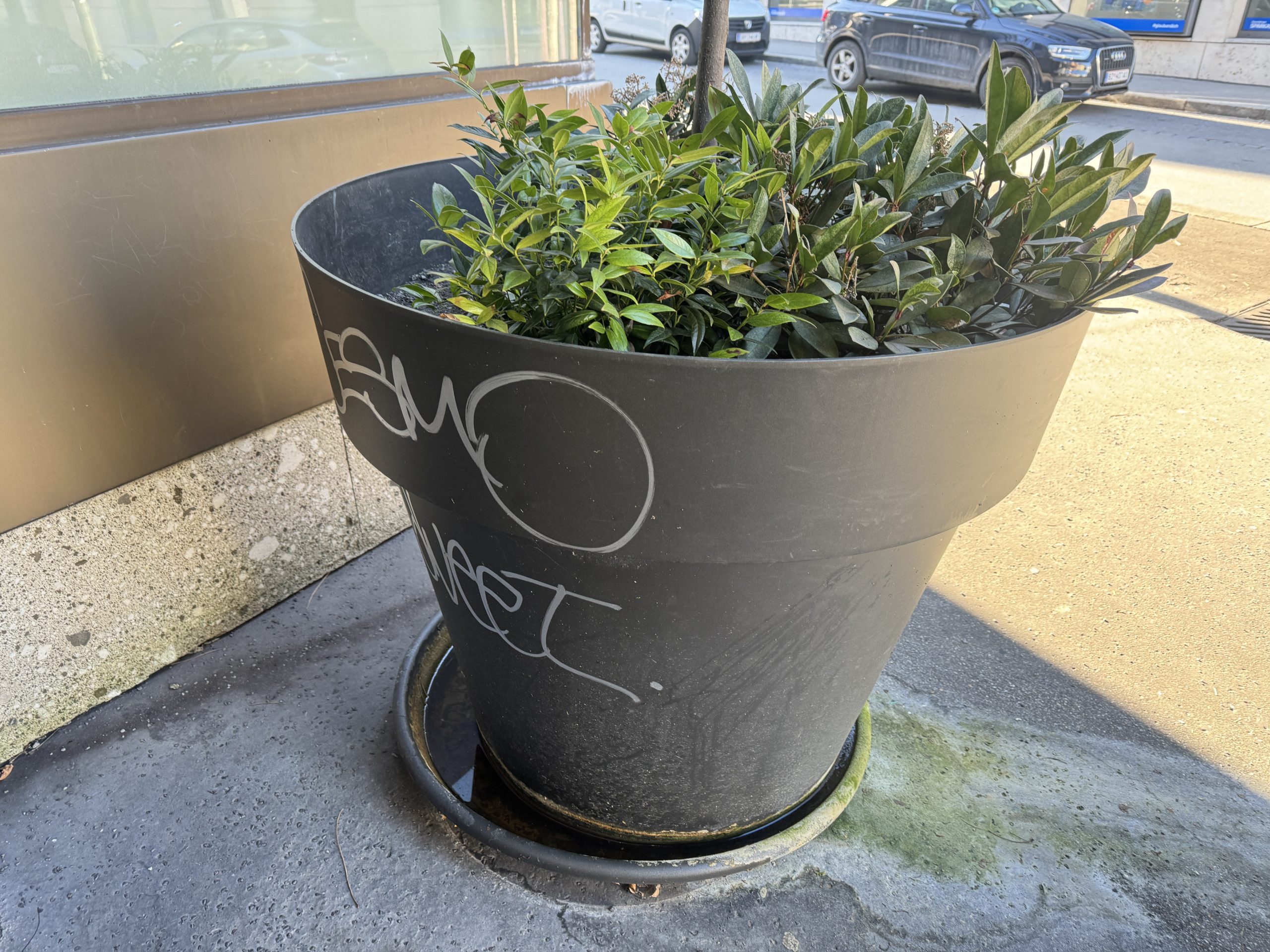 Müll Dornbirn Müll Dornbirn