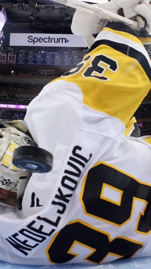 Nedeljkovic mit einem Tor und einem Assist gegen die Buffalo Sabres.