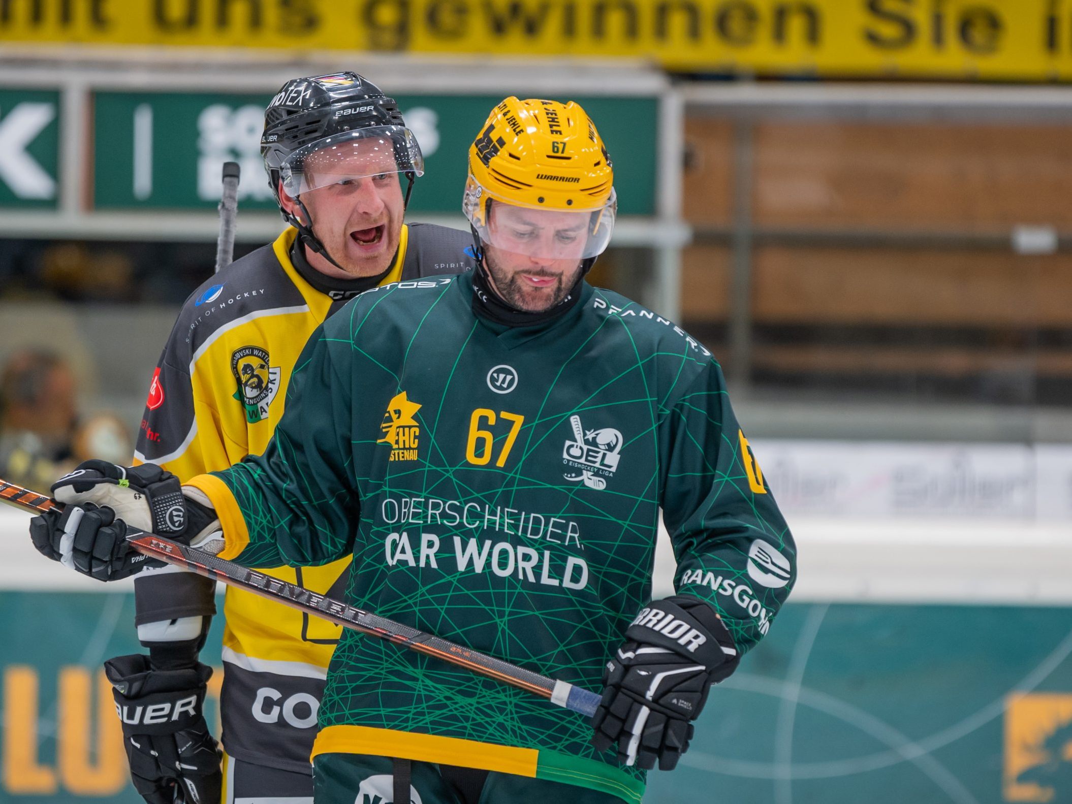 EHC Stürmer Thomas Auer hofft auf ein Comeback gegen den SC Hohenems EHC Stürmer Thomas Auer hofft auf ein Comeback gegen den SC Hohenems