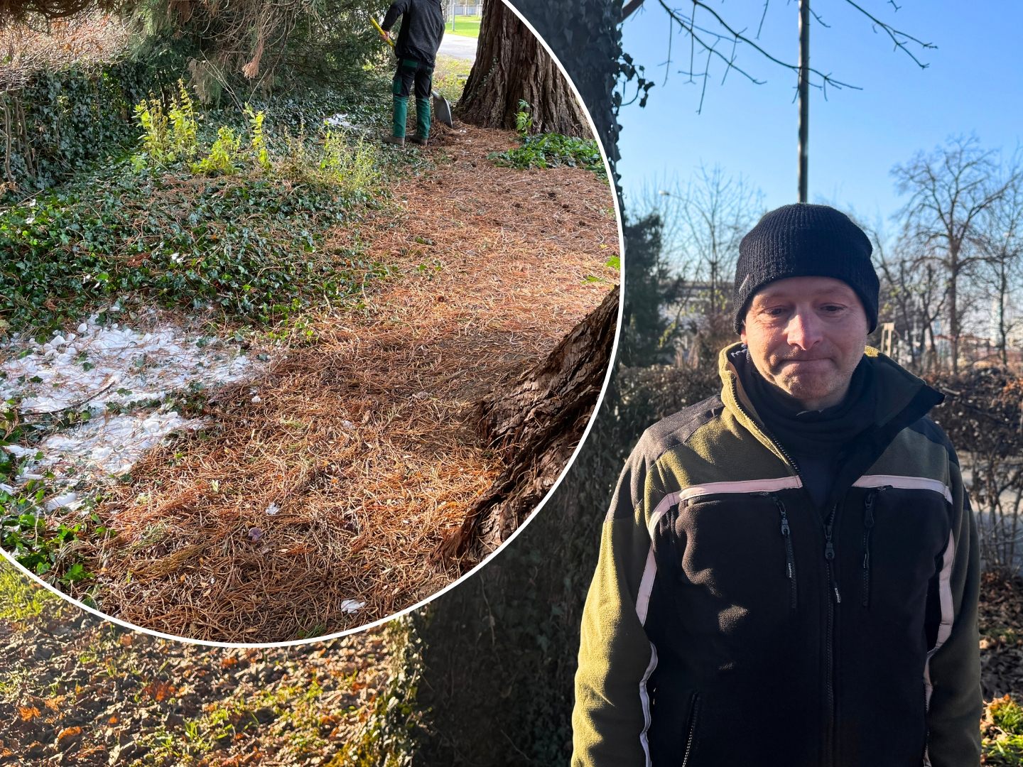 Strobel/Stadtgärtnerei Bregenz/VOL.AT