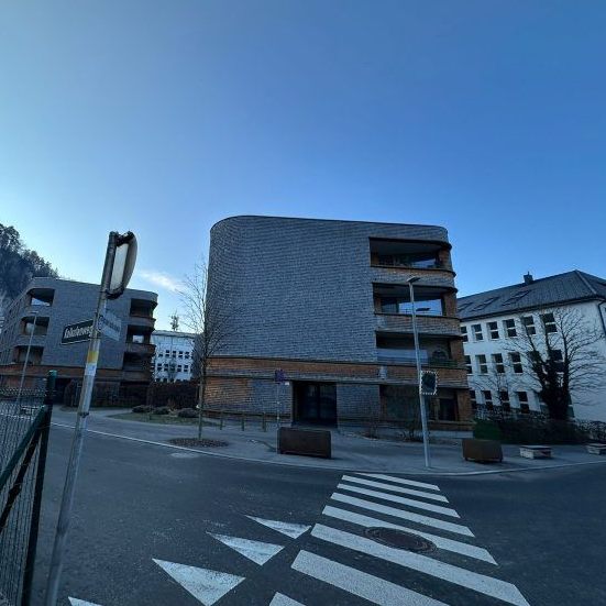 Die Zufahrt zum Wirtschaftspark. In Götzis kam es bei einem Wohnblock zu einem Vorfall.