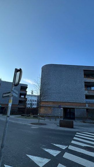 Die Zufahrt zum Wirtschaftspark. In Götzis kam es bei einem Wohnblock zu einem Vorfall.