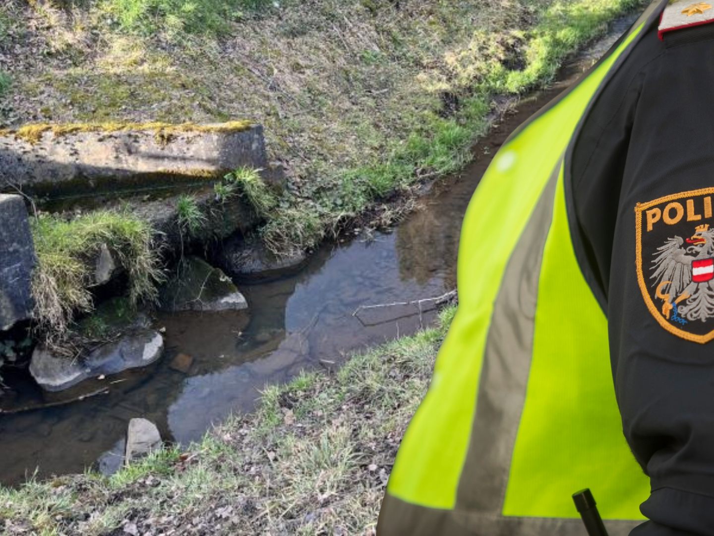 Über 500 Fische sind im Hohenemser Sohlgraben verendet gefunden worden - Jetzt sucht die Polizei nach Zeugen.